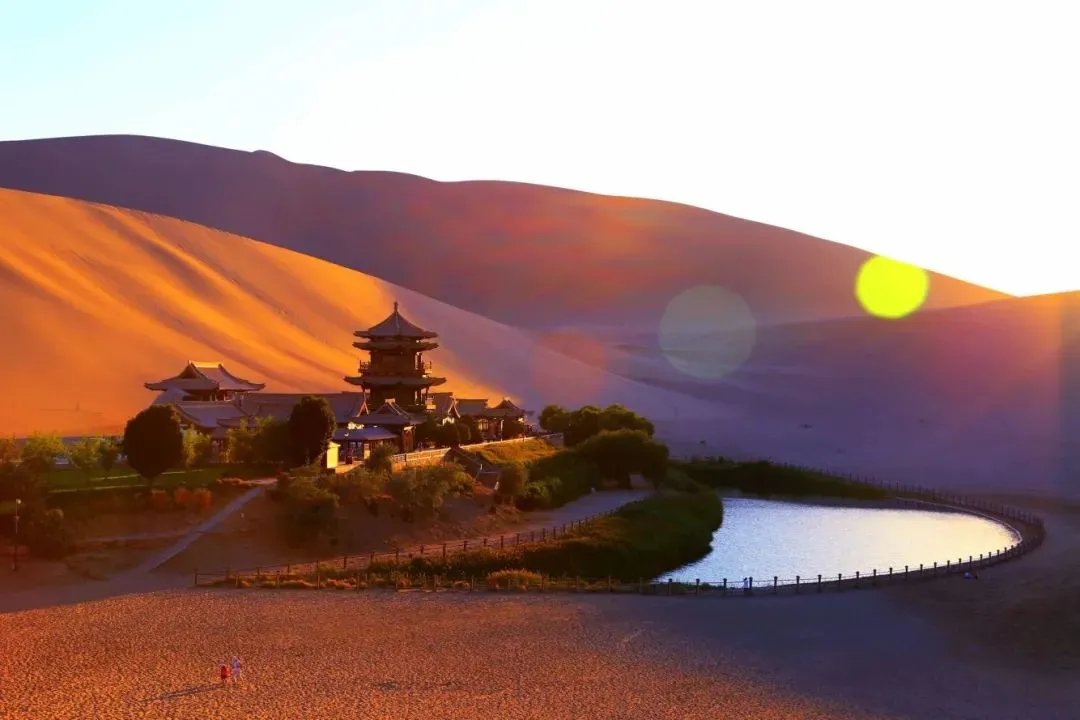 Accident Details and Government Response