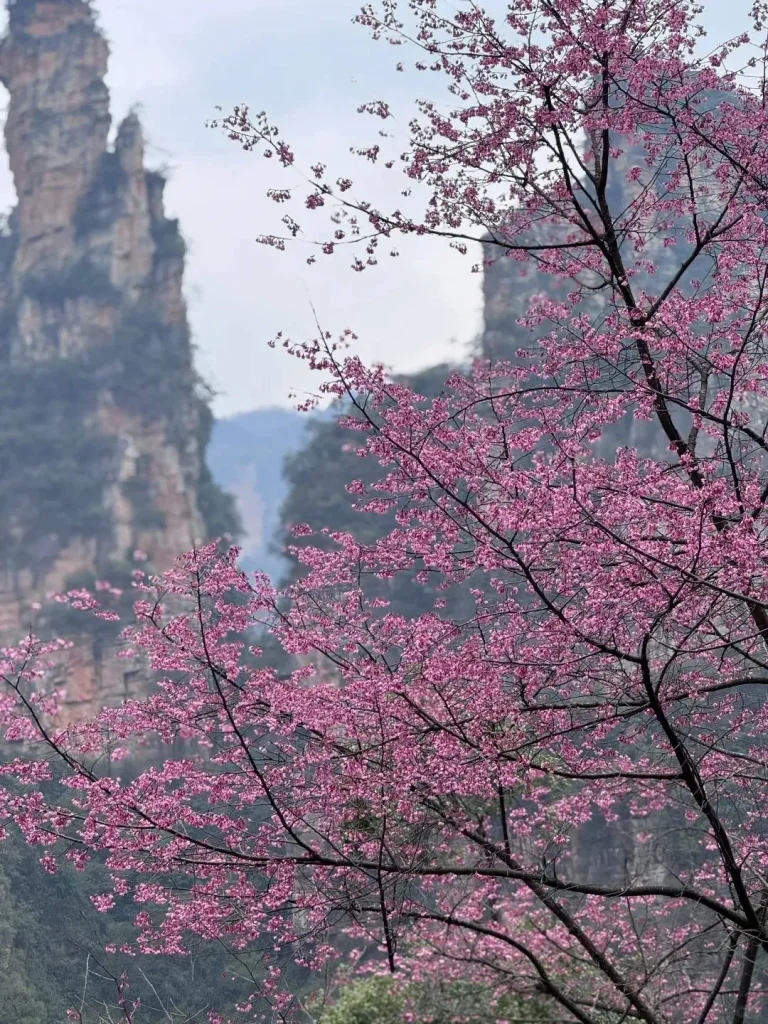 Zhangjiajie