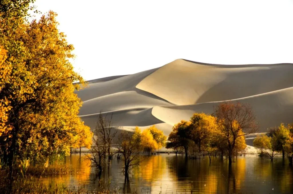 taklamakan desert