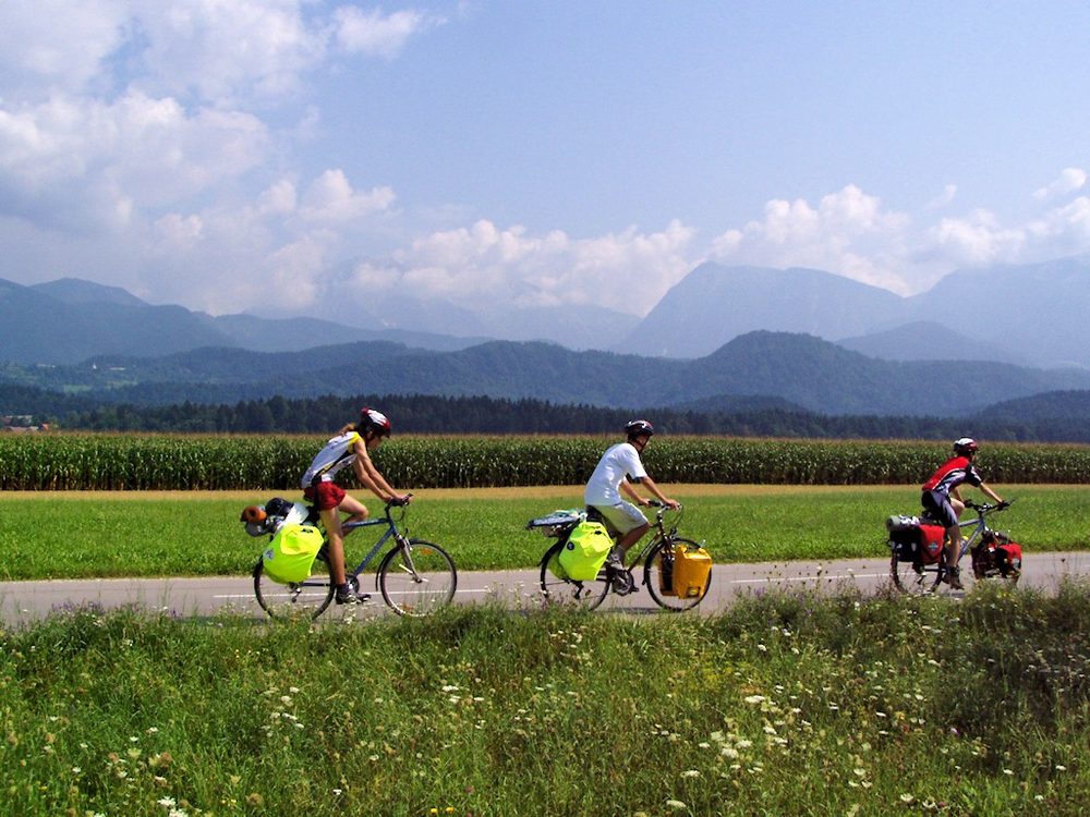 Reihe moderner Elektroroller mit grünen Nummernschildern vor einem Verleihgeschäft in Yangshuo
