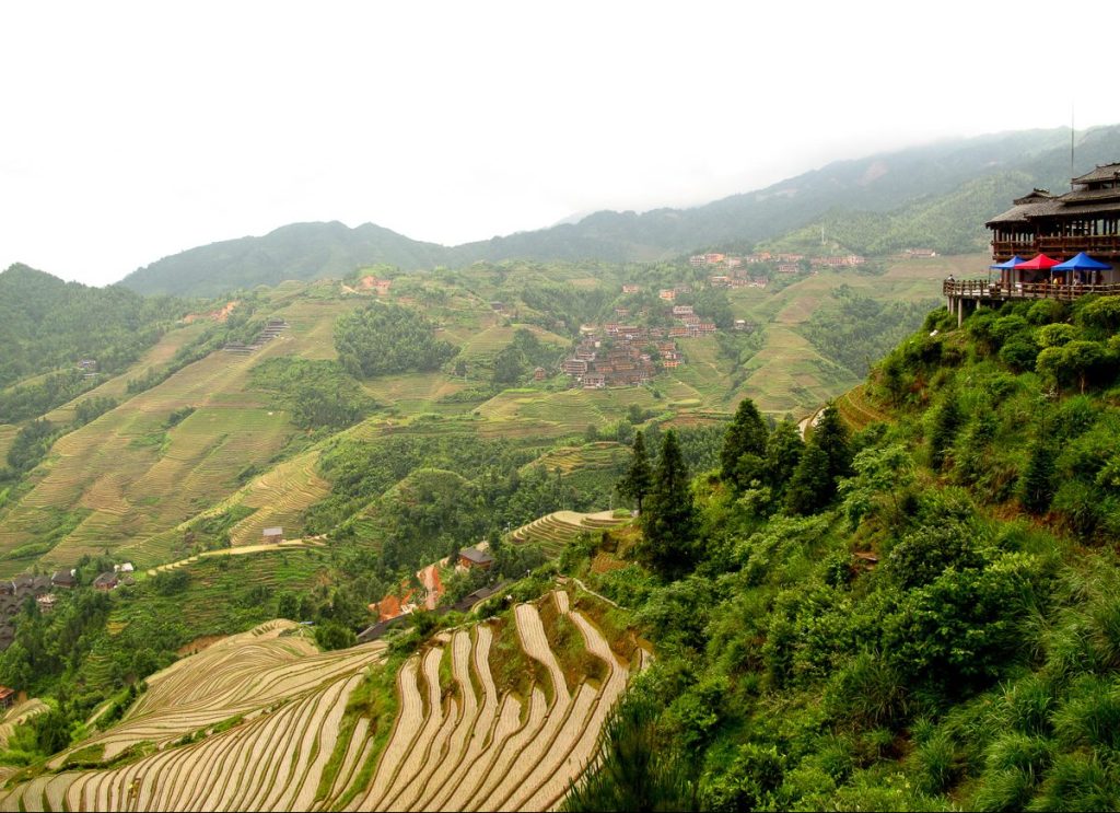Panoramic vista of the emerald Longji rice terraces curving gracefully across misty mountain ridges in Guangxi