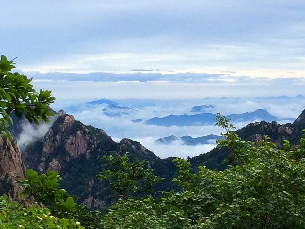 Huangshan granite peaks rising above rolling Sea of Clouds in Yellow Mountain China