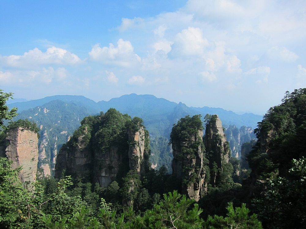 Zhangjiajie sandstone karst pillar peaks rising above mountain mist